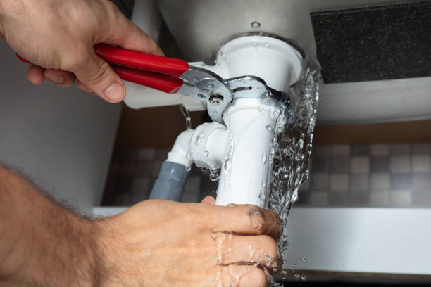 Best Water damage restoration mold remediation  in India Hook, SC