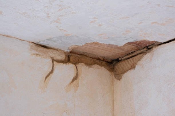 Best Carpet water damage restoration  in India Hook, SC