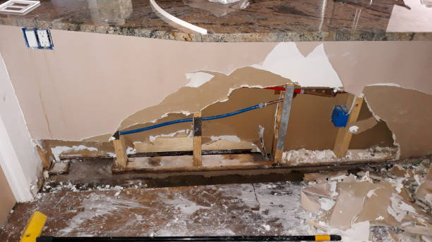 Best Water damage contractors near me  in India Hook, SC