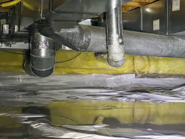 Best Water damage restoration near me  in India Hook, SC