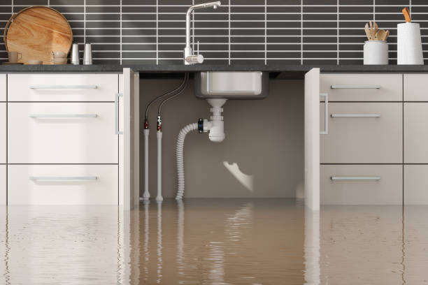 Best Professional water damage repair  in India Hook, SC